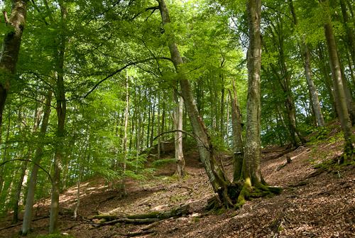 S�der�sens nationalpark