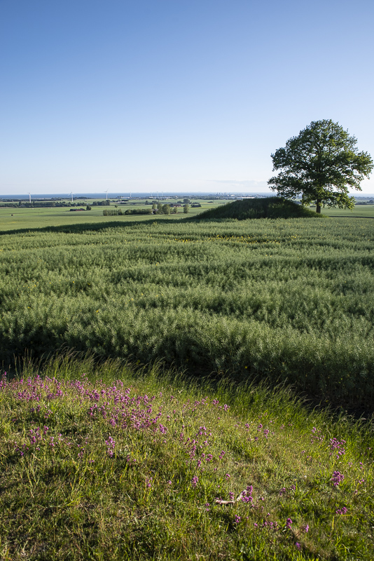 Utsikt Rönneberga backar