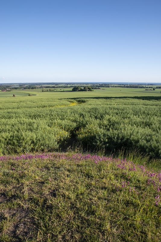 Utsikt Rönneberga backar