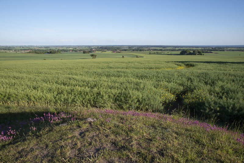 Utsikt Rönneberga backar
