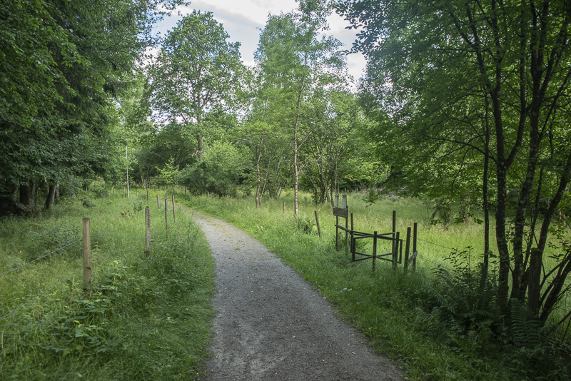 Vannerödsängskrona