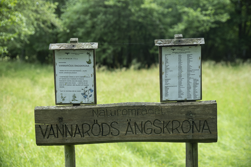 Vannerödsängskrona