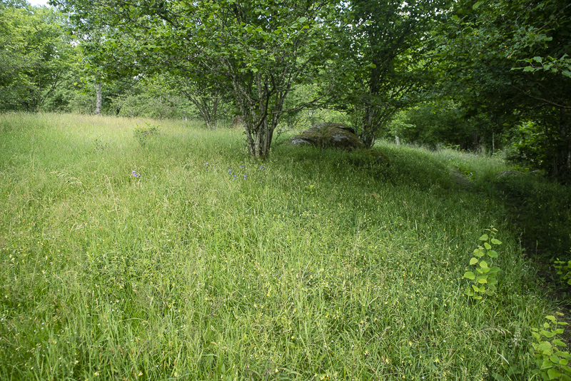 Vannerödsängskrona