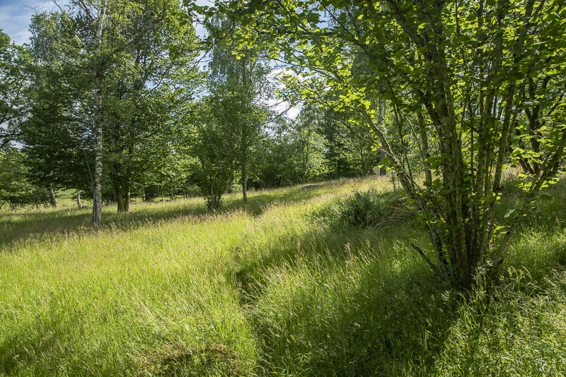 Vannerödsängskrona