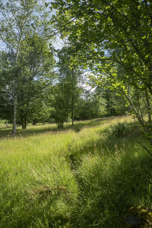 Vannerödsängskrona