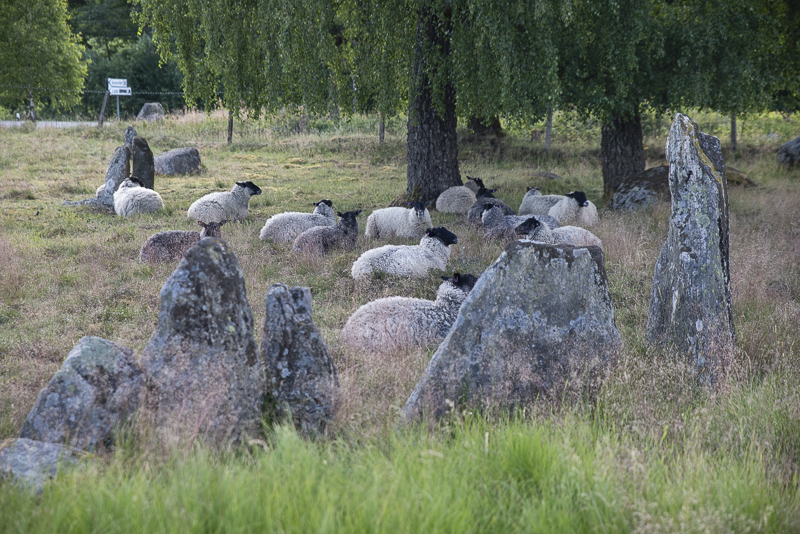 Vätteryds gravfält