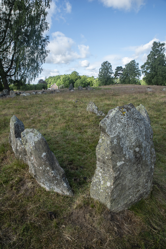 Vätteryds gravfält