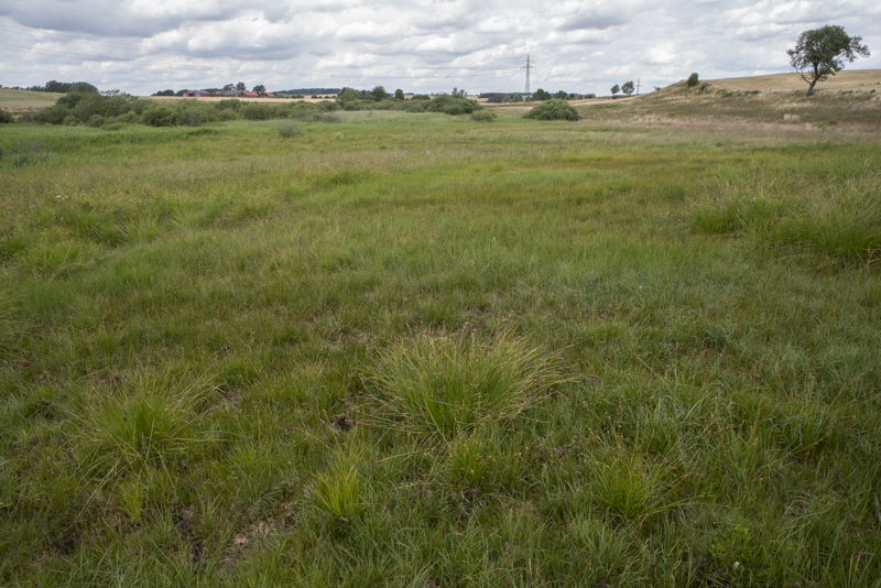 Fårarps naturreservat