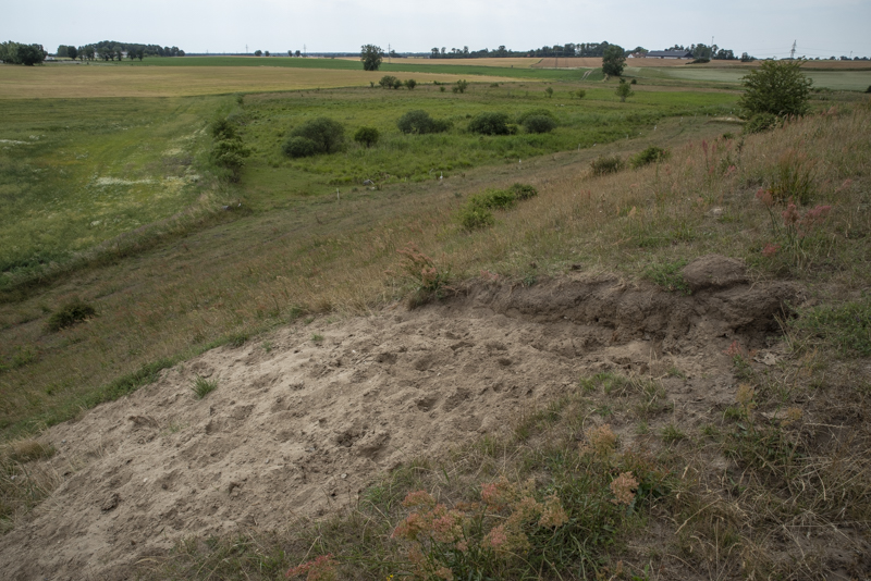 Fårarps naturreservat