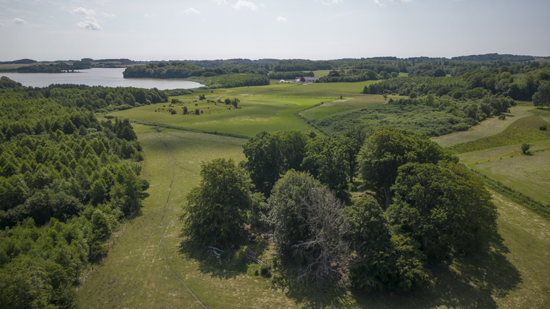Lindholmens slottsruin