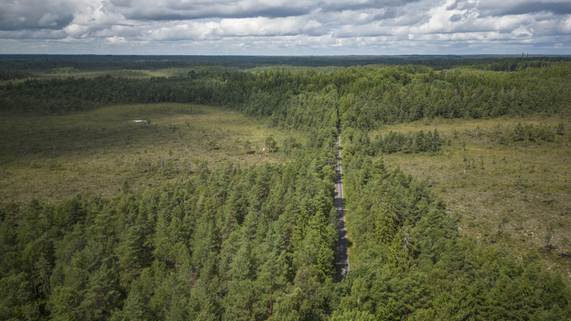 Vyssle och Väster myr