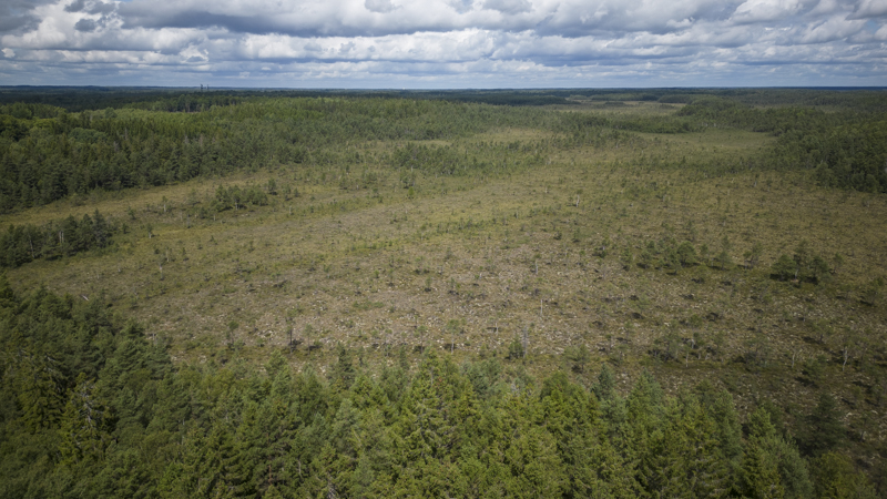 Vyssle och Väster myr