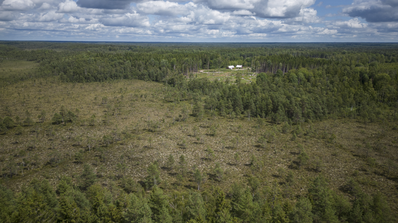 Vyssle och Väster myr