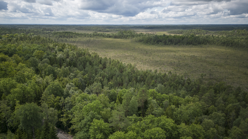 Vyssle och Väster myr