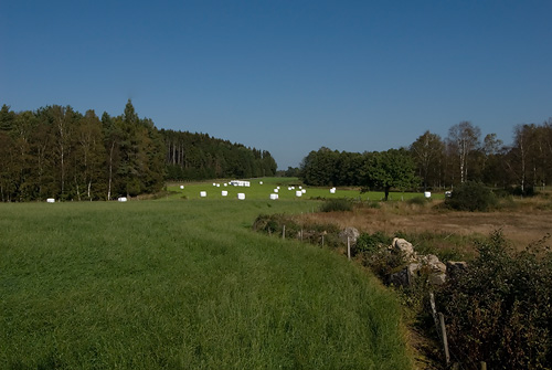 Odlingslandskap