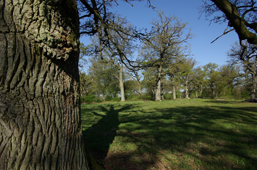 Knutstorp