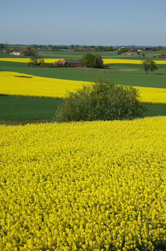 Söderslätt