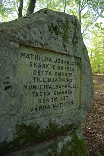 Bjärnums hallar