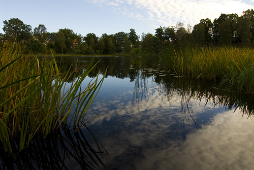 Prästsjön Örkelljunga