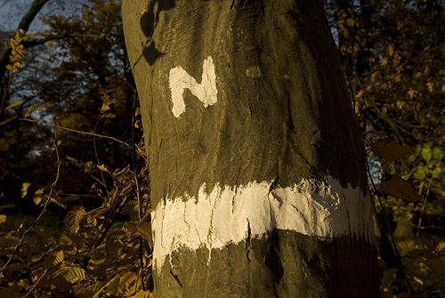 Naturvårdsavtal