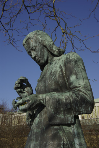 Linnéstaty