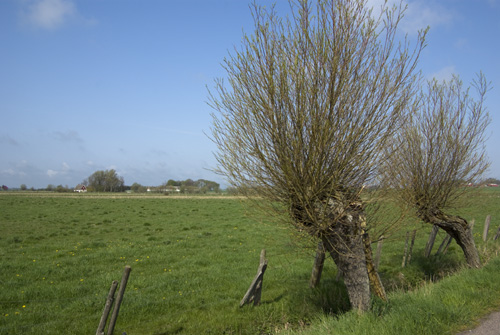 Beddinge