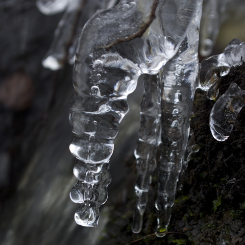 Vinter