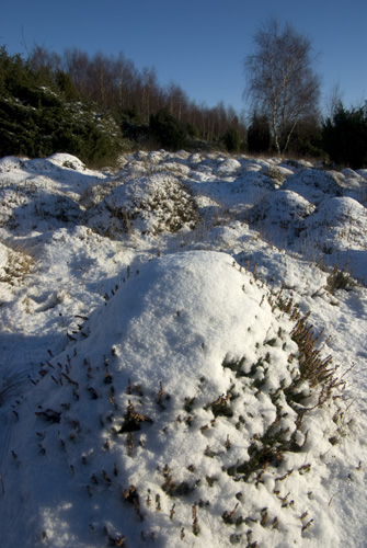 Högabjär