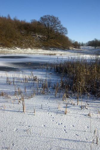 Prästaskogen