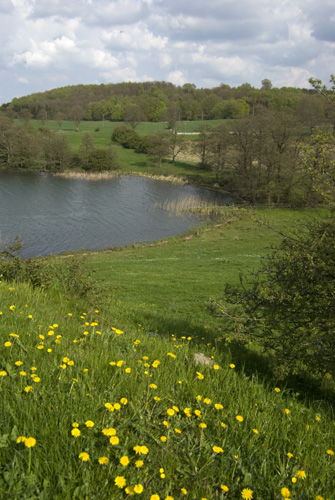 Havgård