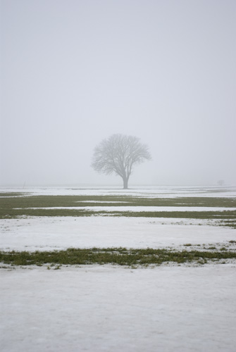 Tågra
