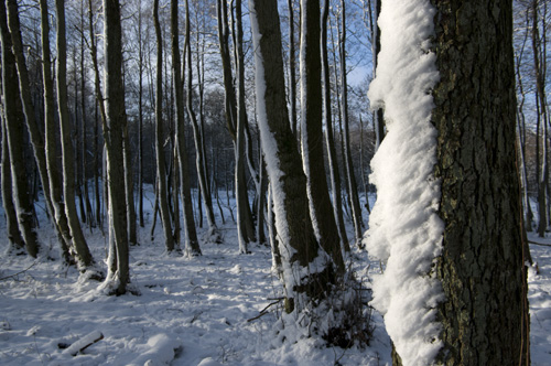 Romeleåsen