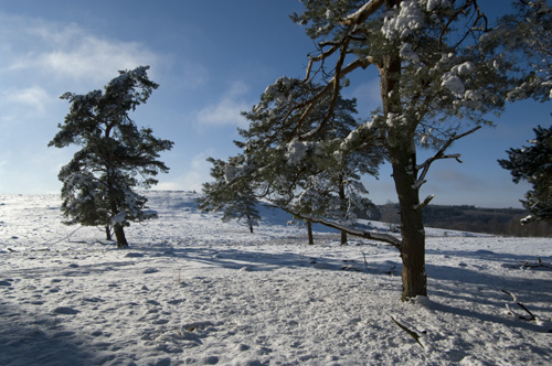 Romeleåsen