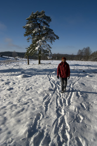 Romeleåsen