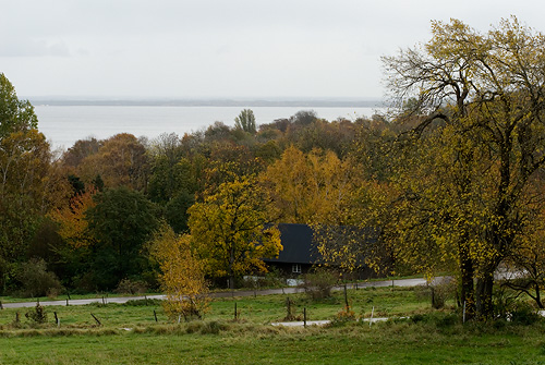 Bjäre