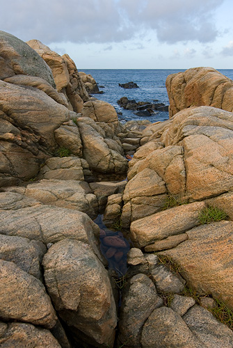 Bjärekust