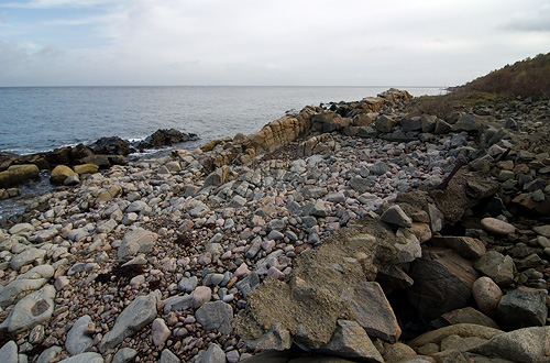 Bjärekusten