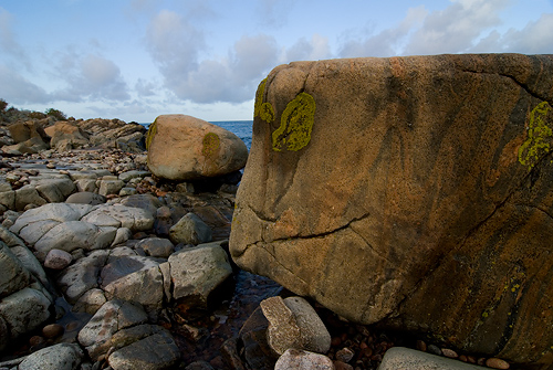 Bjärekust