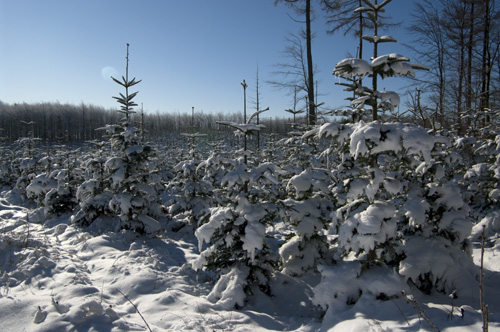 Romeleåsen