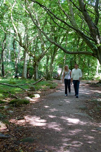 Stenshuvud nationalpark