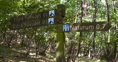 Stenshuvud nationalpark