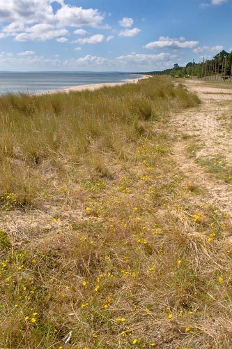 Yngsjö strand