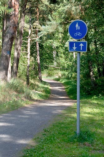 Cykelbana i skogen