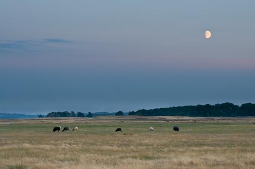Måne över Haväng