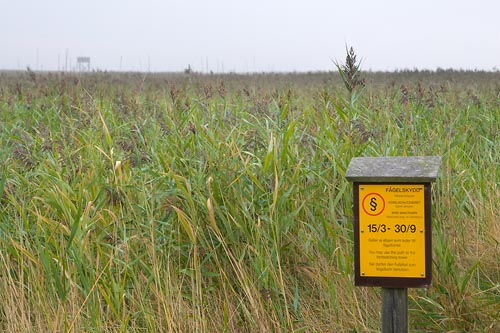 Naturreservatet Äspet