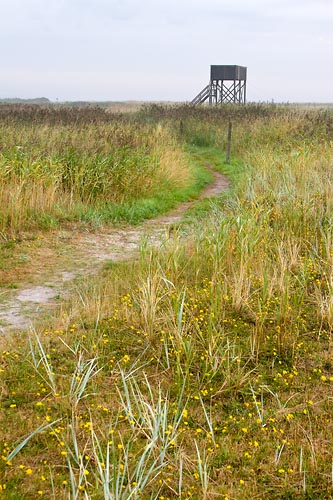 Naturreservatet Äspet