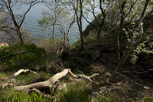 Norra kusten, Kullaberg