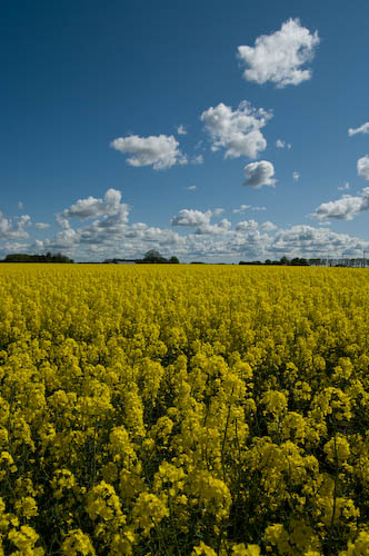 Söderslätt