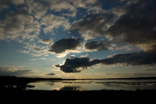 Silvåkra
