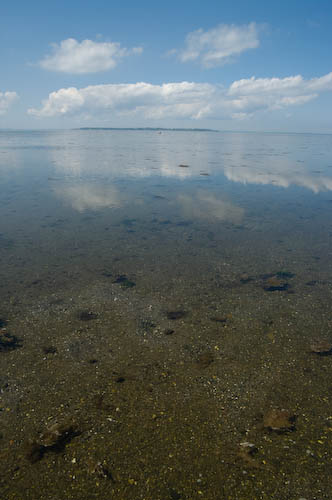 Borstahusen